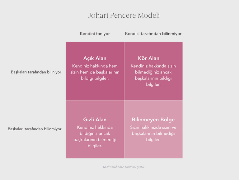Johari Window Model